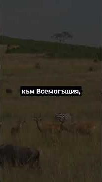 Това, което виждаш в природата, не е случайност – това е свидетелство. #shorts