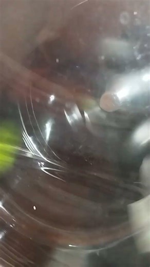 indesit washer dryer Start dry #indesit