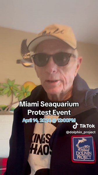 We are asking Miami-Dade to uphold the April 21st lease termination, and that the remaining dolphins at Miami Seaquarium be retired. Please join us outside of the Seaquarium on April 14th at noon! 🐬 #miamiseaquarium #dolphin #animals #miami #thanksbutnotanks #saynotothedolphinshow