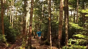 Discover hiking trails for all... - VisitNH - New Hampshire