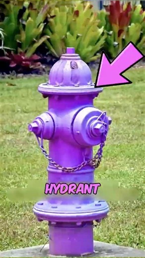 Why Fire Hydrants Come in Different Colors