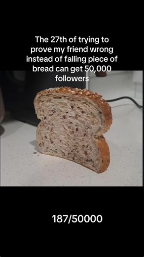 Join the cause pls #bread #you #fyp #viral #foryou | bread