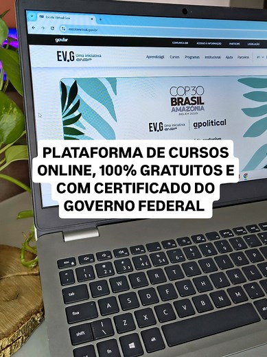 Aproveite Cursos Gratuitos Online na Escola Virtual do Gov