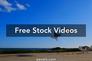 The Beach Floor Videos, Download The BEST Free 4k Stock Video Footage & The Beach Floor HD Video Clips