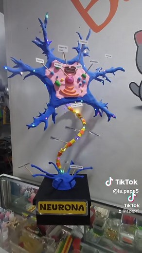 Maquetas de Neuronas Creativas - Inspiración y Ejemplos