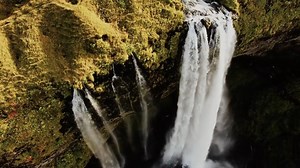 #movie #movieclips #movies #moviescene #moviescenes #moviesclips #film #filmclips | W. Lanier