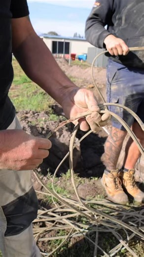 4.1K views · 12 reactions | Sorting through the maze of exposed cables, making sure every wire is where it should be.⚡️ #SolarRepair #ElectricalSafety #CableManagement #MelbourneTrades #SolarMaintenance #RenewableEnergy #TheSolarRepairMan | The Solar Repairman | Facebook