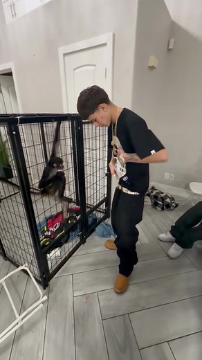 @😺 #trending #fyp #monkey #tiktok #pet | monkey
