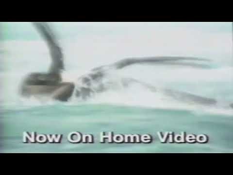 Retro Trials Of Life Nature Documentary Video Commercial 1991 BBC Turner Time Life