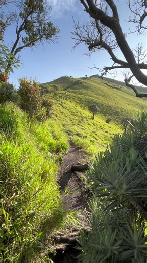 Menjelajahi Gunung Merbabu Melalui Suwanting