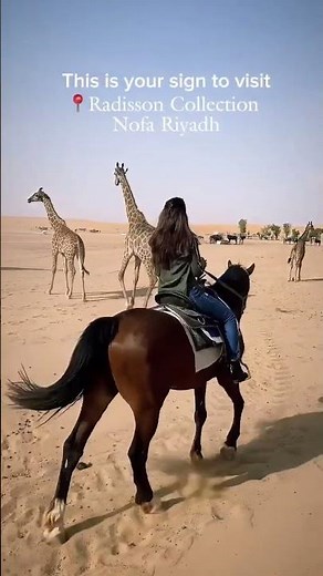 Adventure awaits with Radisson Hotels.