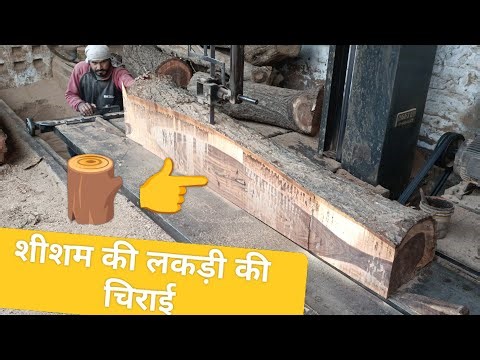 wood cutting machine 😲