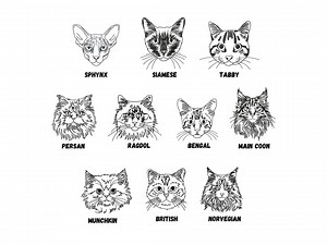 Cat Faces Machine Embroidery Designs Bundle: Outline Backstitch (digital Download) - Etsy