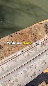 3.7K views · 76 reactions | We Discovered An Insane Dumping Ground While Magnet Fishing #magnetfishing #treasurehunt #treasure #treasurehunter #magnetfishingfinds #magnetfishingadventures #treasurehunting | Dani Dip | Facebook