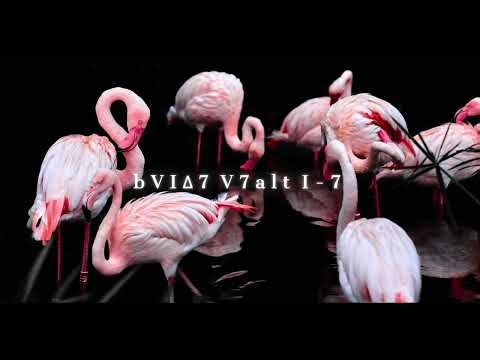 G Minor b6-5-1 Backing Track (Mellow Groove)