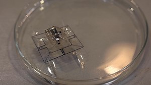 24K views · 325 reactions | Cornell Engineering was proud to co-host the Northeastern Robotics Conference, featuring talks from leading roboticists, lab demos, and enough robotics research to fill the Duffield Hall atrium. | Cornell Engineering | Facebook