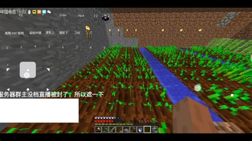 MinecraftJava1.12.2服务器游玩