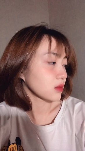 Understanding a Vietnamese Conversation in Everyday Life