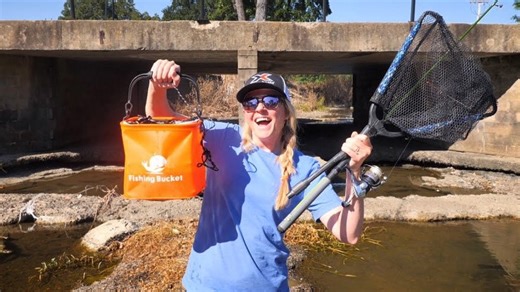 Urban Creek Surprise: Crazy Pet Fish Discovery