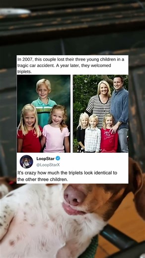 A Couple Who Lost Three Children In A Tragic Accident Welcomed Triplets One Year Later