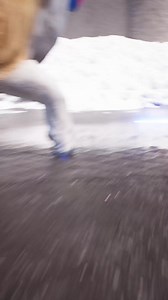 Stray Voltage Shocks Dogs In NYC Streets 🤯 | Zack D. Films