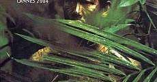 Tropical Malady (2004)  - Ver Película Completa en Español / Castellano - FULLTV