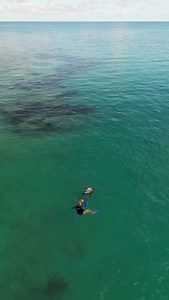 719 reactions · 31 shares | It’s so rewarding to help our dolphins build the courage to venture into the Open Ocean! What are your questions about OO (Open Ocean) with our dolphins? #ocean #dolphins #dolphinlove #oceanlife | Dolphin Quest | Facebook