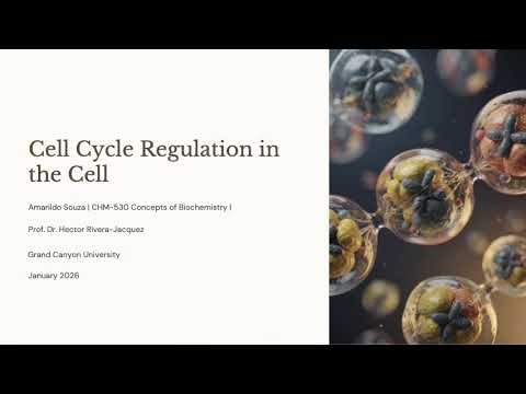 Cell Cycle Regulation in the Cell Recorded