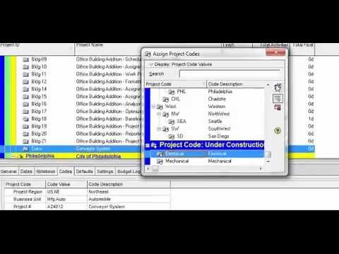 Primavera P6 Training : Assigning project codes