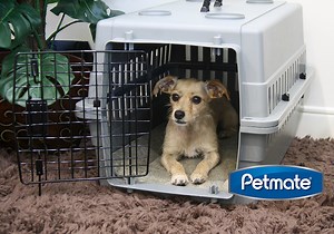 We are dedicated to building a sustainable green culture and determined to keep millions of pounds of plastic out of landfills. | Petmate Pet Products