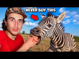 I Bought the Scariest Zebra (to keep as a pet)
