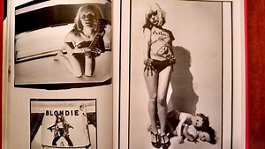 Punk: The Best of Punk Magazine