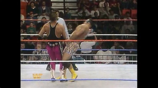 1994.01.11 WWF Wrestling Challenge - The Hart Brothers vs. The Steiner Brothers