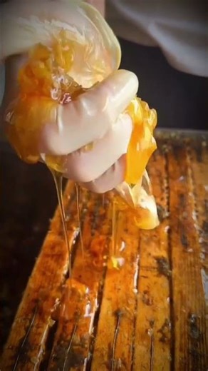 🐝 Relaxing Honey Bee Videos & Nature Moments 🍯Close-up bee life, honeycombs & calming nature sounds.