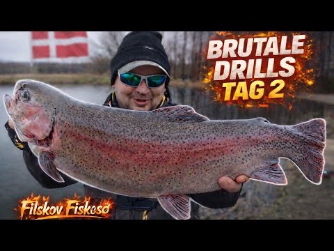 Brutal Drills in Denmark | Filskov Fiskesø | Trout fishing in Denmark Day 2