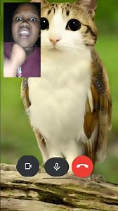 bruh... #roblox #funny