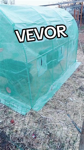 Get Ready for Spring Gardening with Vevor's Greenhouse