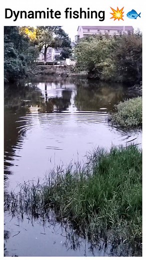 Dynamite fishing 💥 watch till the end 🐟 | Rohan