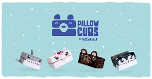 Pillow Cubs by Pillow Cube - Indiegogo