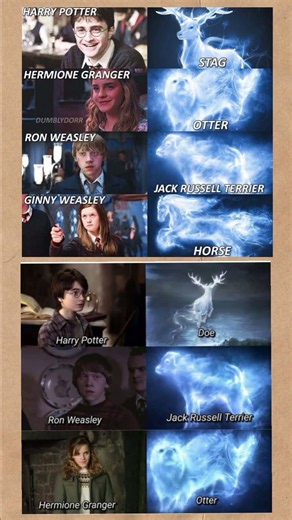 Harry Potter Patronus Evolution 🦌✨ | Harry, Hermione & Ron's Patronus Explained | #Shorts