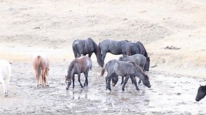 68K views · 370 reactions | Hello and Happy Thursday to everyone!...