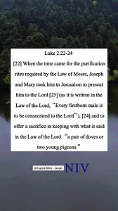 16K views · 584 reactions | Luke 2:22-24 [22] When the time came for the purification rites required by the Law of Moses, Joseph and Mary took him to Jerusalem to present him to the Lord [23] (as it is written in the Law of the Lord, “Every firstborn male is to be consecrated to the Lord”), [24] and to offer a sacrifice in keeping with what is said in the Law of the Lord: “a pair of doves or two young pigeons.” | English Bible - Gospel | Facebook