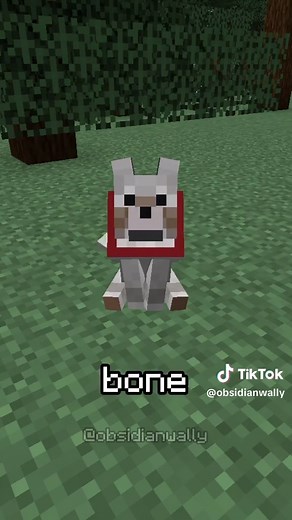 Exploring Wolf Armor Crafting in Minecraft
