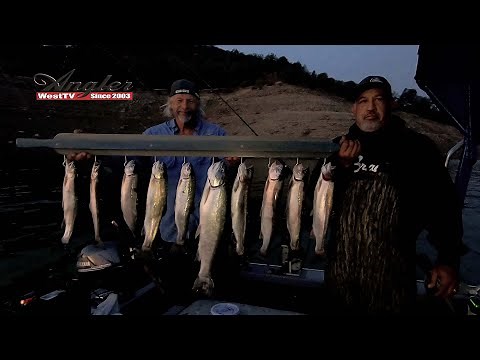 Rainbows In The Dark (Learn Night Time Fishing Techniques)