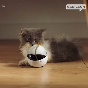 3.6K views · 34 reactions | This smart robot gives your cat companionship — and exercise —while you're away by rollin around, spinning, and dancing. | Geek.com | Facebook