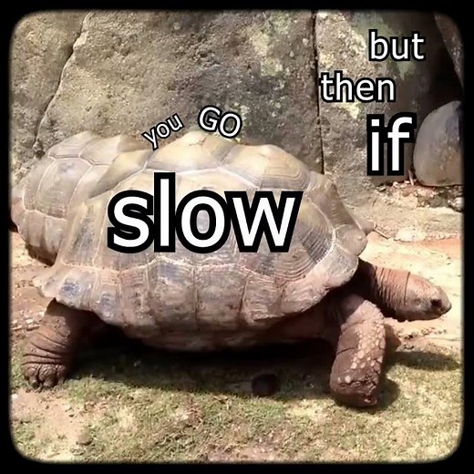 Slow is fast, fast is slow ✨#hopelesscore #seible #doppiodropscythe #nijisanjien