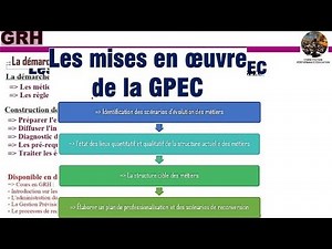 Workforce planning and skills management (GPEC) - Implementation / HR