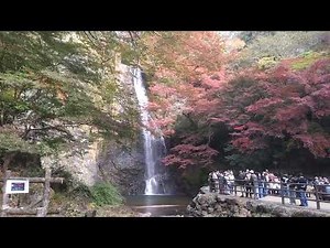 箕面山の紅葉2025