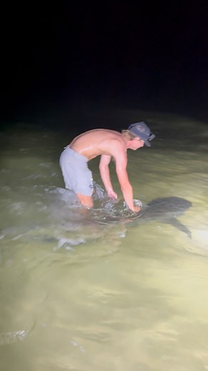 Tiger shark in shallow water! 🫣 #sharks #fishing #alabama | Coastal WorldWide