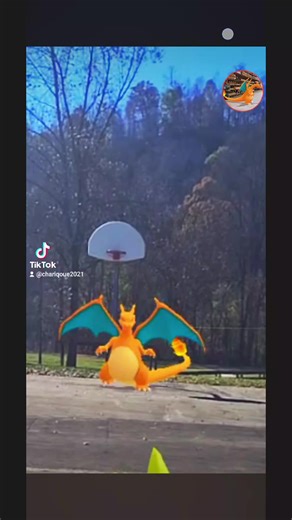 Charizard walking Evolution